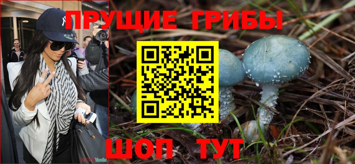 сколько стоит  Вход с VPN  Ртищево  Псилоцибиновые грибы Psilocybe 